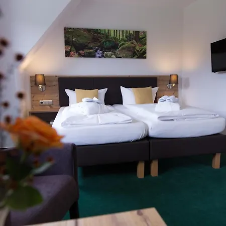 Bsw-erlebnishotel Festenburg Hotell 3*