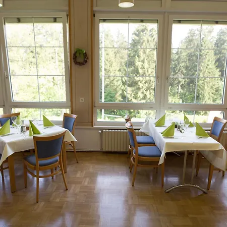 Отель Bsw-Erlebnishotel Festenburg Клаусталь-Целлерфельд