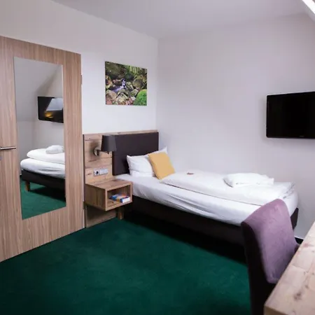 Hotel Bsw-erlebnishotel Festenburg Clausthal-Zellerfeld