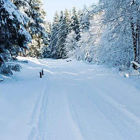 Hotel Bsw-erlebnishotel Festenburg