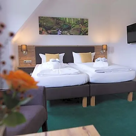 Hotel Bsw-erlebnishotel Festenburg Clausthal-Zellerfeld