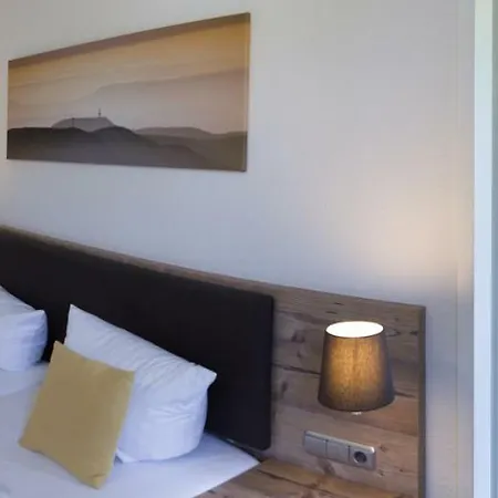 Hotel Bsw-erlebnishotel Festenburg Clausthal-Zellerfeld