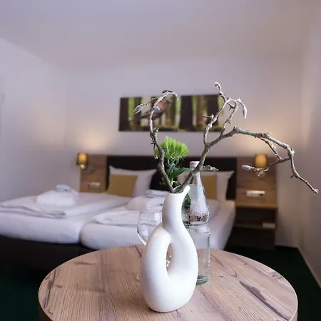 Bsw-erlebnishotel Festenburg