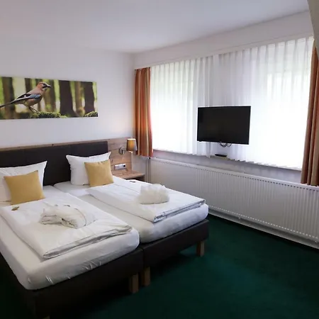 Hotell Bsw-erlebnishotel Festenburg