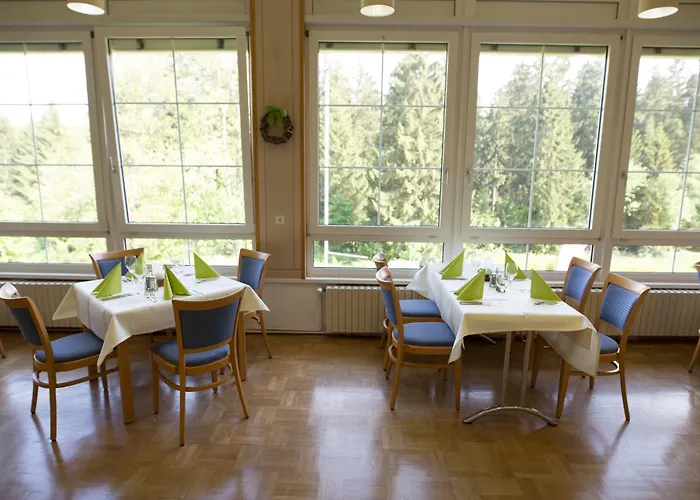 Отель Bsw-Erlebnishotel Festenburg Клаусталь-Целлерфельд