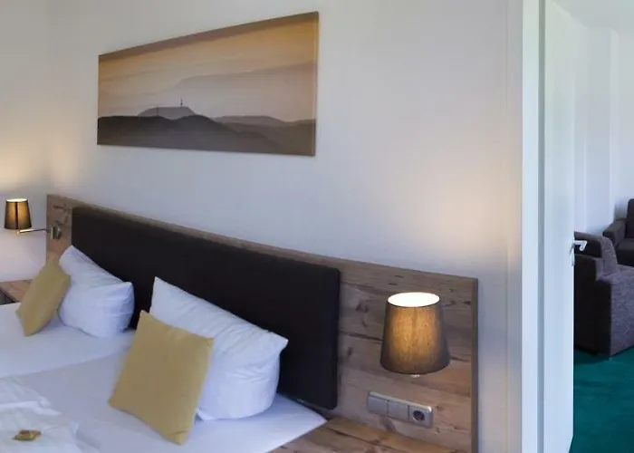 Отель Bsw-Erlebnishotel Festenburg Клаусталь-Целлерфельд
