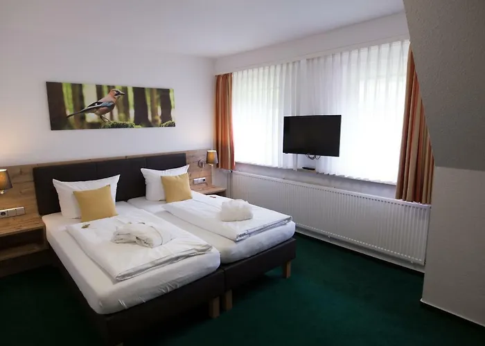 Отель Bsw-Erlebnishotel Festenburg