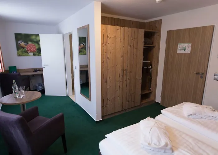 Отель Bsw-Erlebnishotel Festenburg 3*